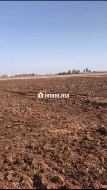 ارض للبيع محفظة تيتر فونصي هكتار و نصف - Vente Immobilier - Casablanca - photo 2