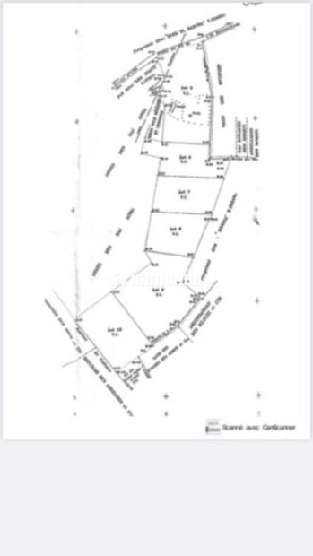 ارض للبيع محفظة تيتر فونصي هكتار و نصف - Vente Immobilier - Casablanca - photo 3