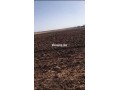 ارض للبيع محفظة تيتر فونصي هكتار و نصف - miniature 1