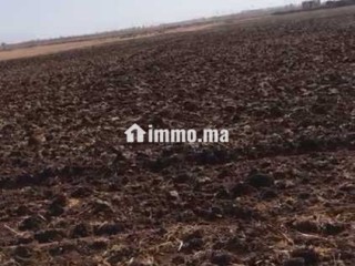 ارض للبيع محفظة تيتر فونصي هكتار و نصف - Terrain à vendre - Casablanca