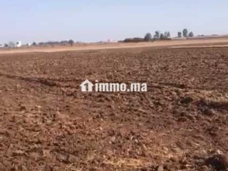 ارض للبيع محفظة تيتر فونصي هكتار و نصف - Terrain à vendre - Casablanca