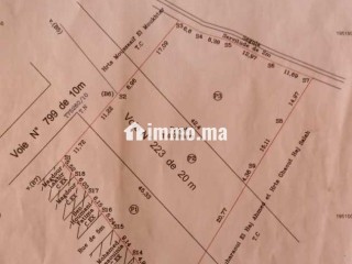 أرض فلاحية للبيع نواحي بني ملال - Terrain à vendre - Beni Mellal