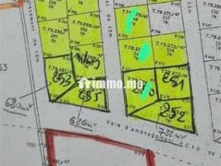Terrain zone villa 650m Californie - Terrain à vendre - Casablanca