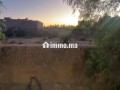 Terrain à la vente à Ennakhil Palmeraie.
Superficie 2540 m² - miniature 1