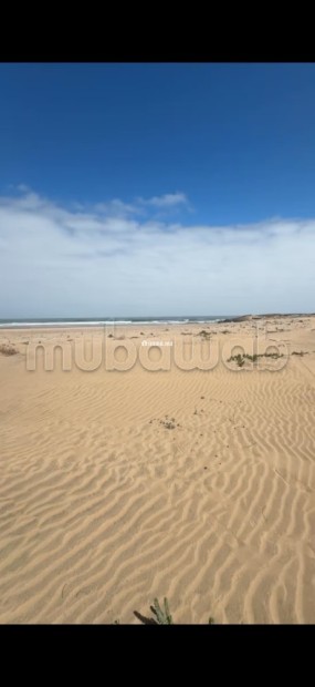 Terrain front de mer titré cloturé Surface de 3650 m² - Vente Immobilier - Autre - photo 6
