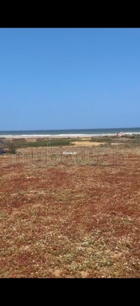 Terrain front de mer titré cloturé Surface de 3650 m² - Vente Immobilier - Autre - photo 8