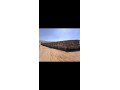 Terrain front de mer titré cloturé Surface de 3650 m² - miniature 4