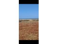 Terrain front de mer titré cloturé Surface de 3650 m² - miniature 8