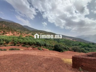 Terrain a vendre au plateau wirgan - Terrain à vendre - Autre