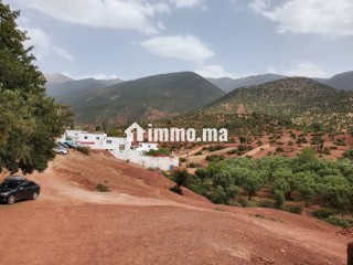 Terrain a vendre au plateau wirgan - Terrain à vendre - Autre