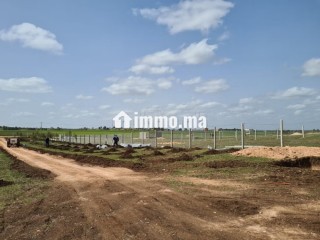 Ferme 4200 m² El Gara - Terrain à vendre - El Gara