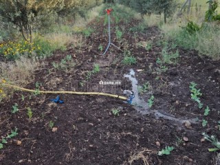 Ferme 4200 m² El Gara - Terrain à vendre - El Gara