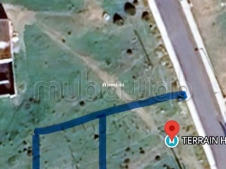 Terrain à vendre entre Assilah et Tanger a 800m des plages - Terrain à vendre - Asilah