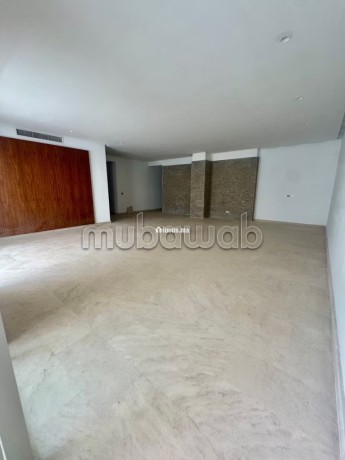 tres-jolie-appartement-3ch-tres-moderne-a-cfc-big-3