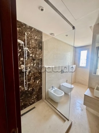 tres-jolie-appartement-3ch-tres-moderne-a-cfc-big-8