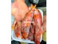 Fast-food de place marechal - miniature 3