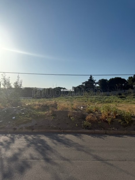 Terrain bien placé à vendre - Vente Immobilier - Tanger - photo 3