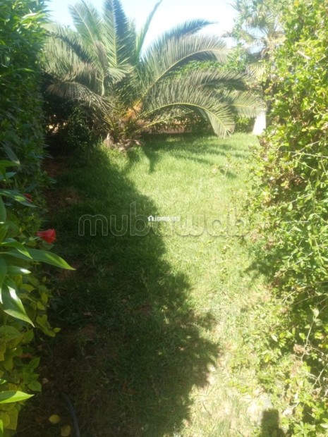 À Vendre – Duplex exceptionnel à Cap d’Aglou - Vente Immobilier - Tiznit - photo 3