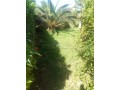 À Vendre – Duplex exceptionnel à Cap d’Aglou - miniature 3