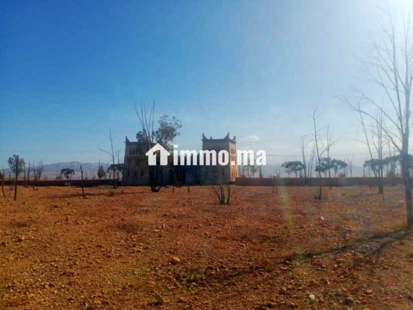 Terrain Titré de 8,1760 Hectares – Accès Direct sur Route Goudronnée Principale Opportunité Idéale pour Projet Agricole ou Touristique - Vente Immobilier - Marrakech - photo 2