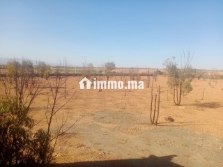 Terrain Titré de 8,1760 Hectares – Accès Direct sur Route Goudronnée Principale Opportunité Idéale pour Projet Agricole ou Touristique - Terrain à vendre - Marrakech