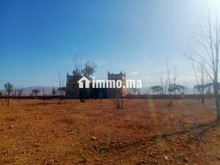 Terrain Titré de 8,1760 Hectares – Accès Direct sur Route Goudronnée Principale Opportunité Idéale pour Projet Agricole ou Touristique - Terrain à vendre - Marrakech