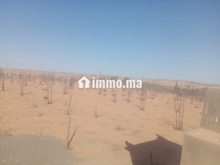 Terrain Titré de 8,1760 Hectares – Accès Direct sur Route Goudronnée Principale Opportunité Idéale pour Projet Agricole ou Touristique - Terrain à vendre - Marrakech