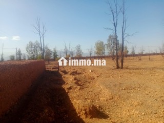 Terrain Titré de 8,1760 Hectares – Accès Direct sur Route Goudronnée Principale Opportunité Idéale pour Projet Agricole ou Touristique - Terrain à vendre - Marrakech