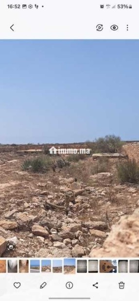 TRES BEAU TERRAIN A BHYEBEH région ESSAOUIRA - Vente Immobilier - Essaouira - photo 4