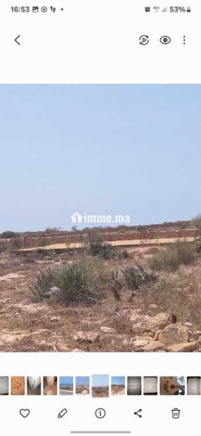 TRES BEAU TERRAIN A BHYEBEH région ESSAOUIRA - Vente Immobilier - Essaouira - photo 5