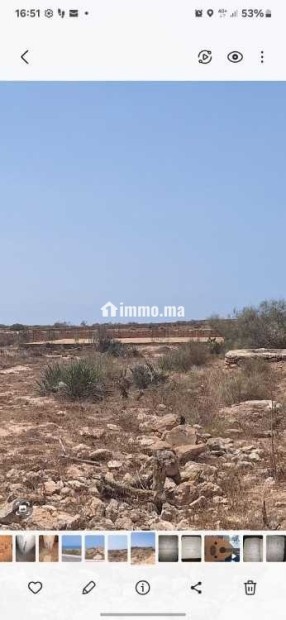 TRES BEAU TERRAIN A BHYEBEH région ESSAOUIRA - Vente Immobilier - Essaouira - photo 6