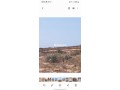 TRES BEAU TERRAIN A BHYEBEH région ESSAOUIRA - miniature 5