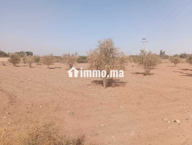 Cherche terrain de 2000 a 3000 mettre carre Sidi A - Vente Immobilier - Marrakech - photo 1