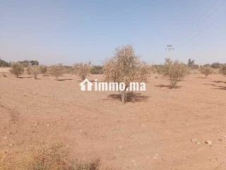 Cherche terrain de 2000 a 3000 mettre carre Sidi A - Terrain à vendre - Marrakech