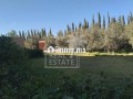 villa-de-luxe-moderne-small-5