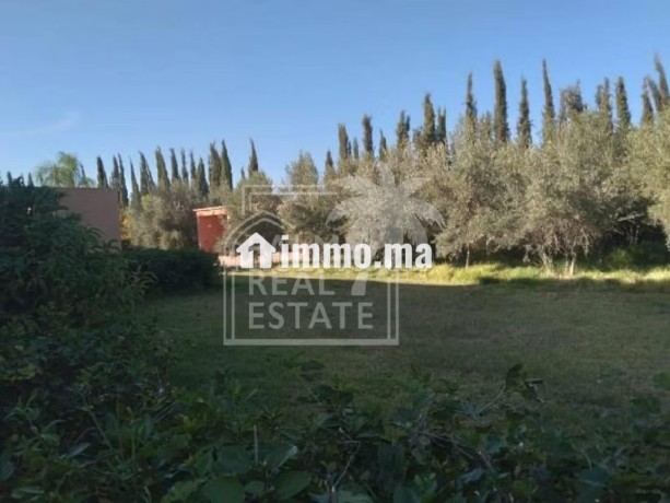 villa-de-luxe-moderne-big-5