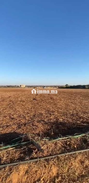 Terrain à vendre Bouznika, hectares au choix - Vente Immobilier - Bouznika - photo 2