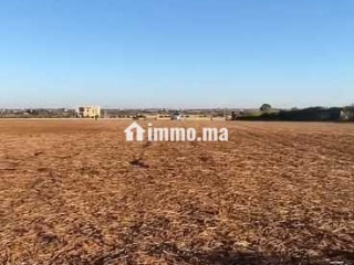 Terrain à vendre Bouznika, hectares au choix - Terrain à vendre - Bouznika