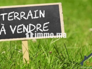 Terrain D4 a vendre sur El Menzeh Route Zaer - Terrain à vendre - Autre