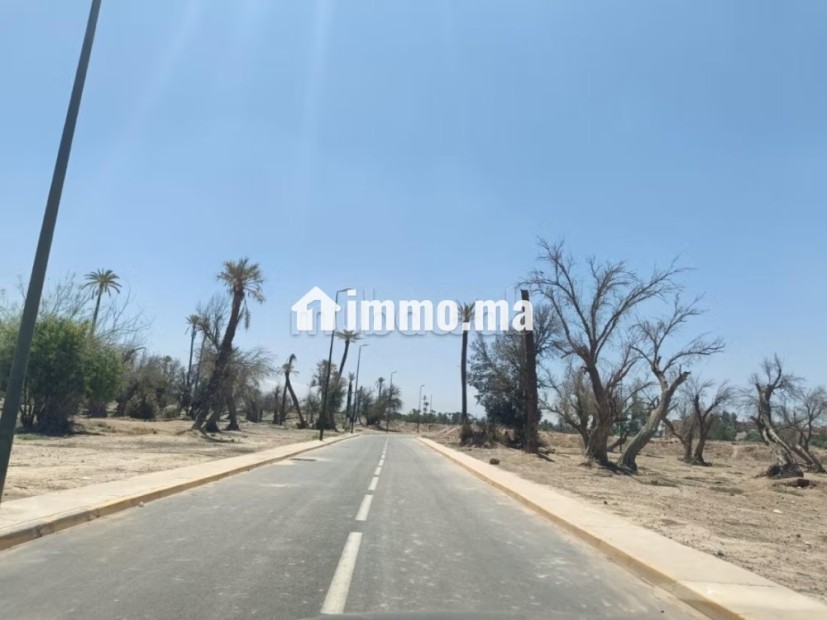Terrain exceptionnel a la palmeraie - Vente Immobilier - Marrakech - photo 1