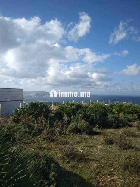 Terrain de 3500m² belle vue sur mer tanger - Vente Immobilier - Tanger - photo 2