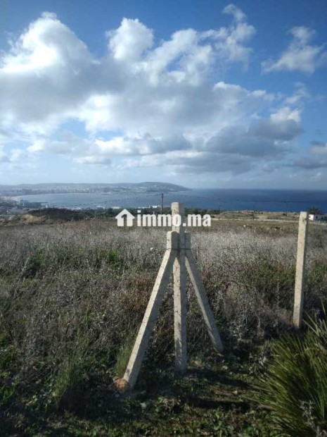 Terrain de 3500m² belle vue sur mer tanger - Vente Immobilier - Tanger - photo 4