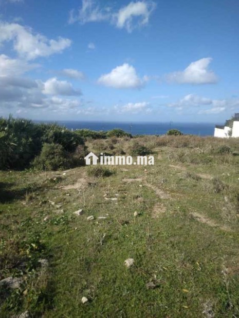 Terrain de 3500m² belle vue sur mer tanger - Vente Immobilier - Tanger - photo 5