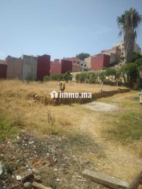 Terrain de 3300m² à vendre à mesnana - Vente Immobilier - Tanger - photo 2