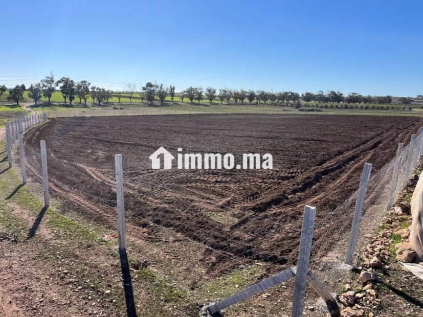 Terrain agricole a vendre - Vente Immobilier - Autre - photo 1
