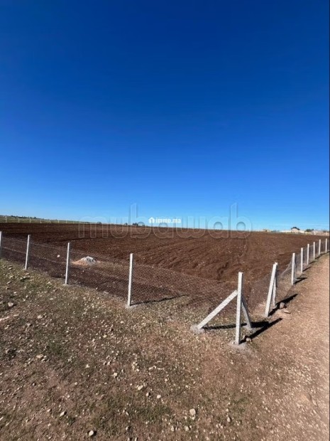 Terrain agricole a vendre - Vente Immobilier - Autre - photo 2