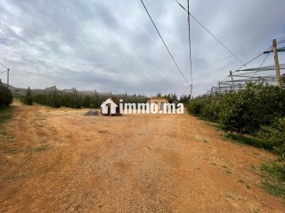 Ferme à vendre à immouzer kander - Terrain à vendre - Fes