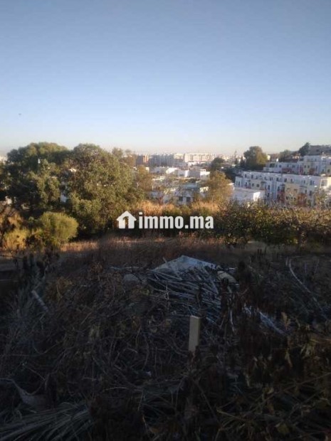 Terrain de 4500m² à vendre boubana tanger - Vente Immobilier - Tanger - photo 1