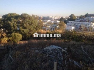 Terrain de 4500m² à vendre boubana tanger - Terrain à vendre - Tanger