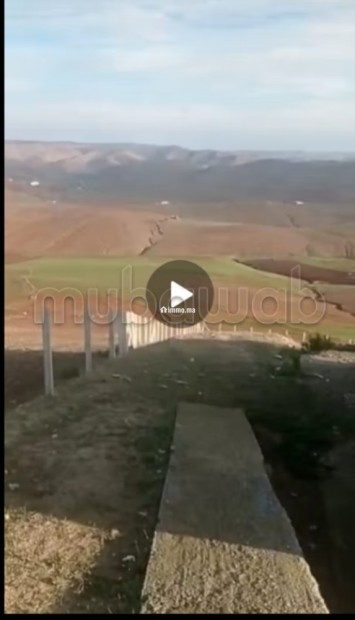 Une ferme a (Ben Slimane) - Vente Immobilier - Benslimane - photo 6